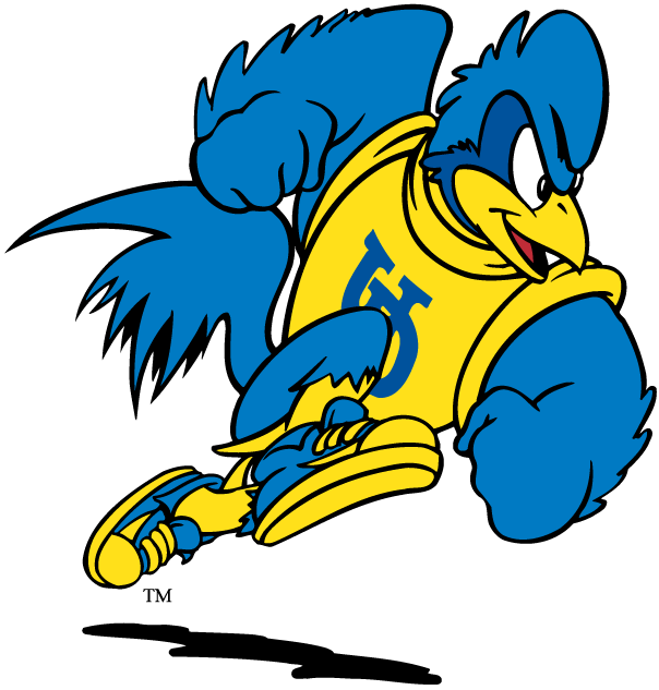delaware blue hens 1993-pres mascot Logo v2 iron on transfers for clothing
